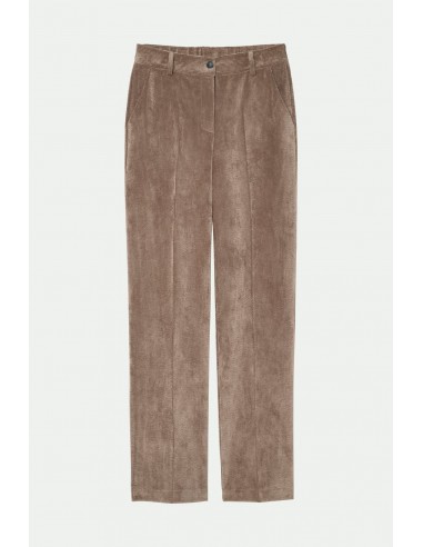 PANTALON LARGE VELOURS BRÉANNE TAUPE Dans la société mordern